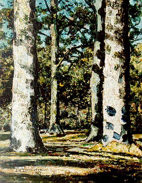Jan Adam Zandleven | A sunlit wooded landscape, oil on canvas laid down on painter's board, 41.0 x 32.0 cm, signed l.l. and dated 1914