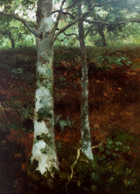 Weissenbruch H.J.  | Forest, oil on canvas laid down on panel 40.4 x 28.9 cm, signed l.r.