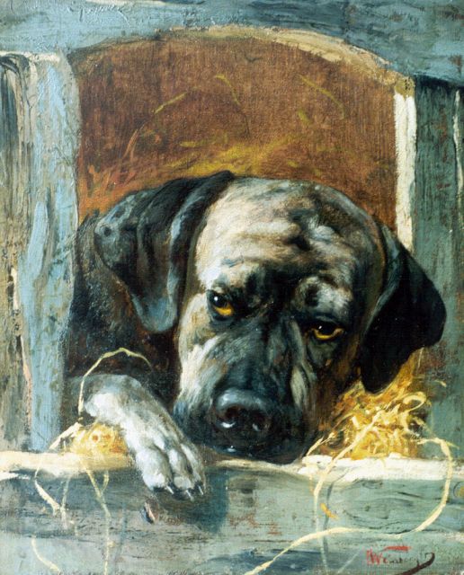 Weinberger A.  | The watchdog, oil on canvas 32.2 x 26.7 cm, signed l.r.