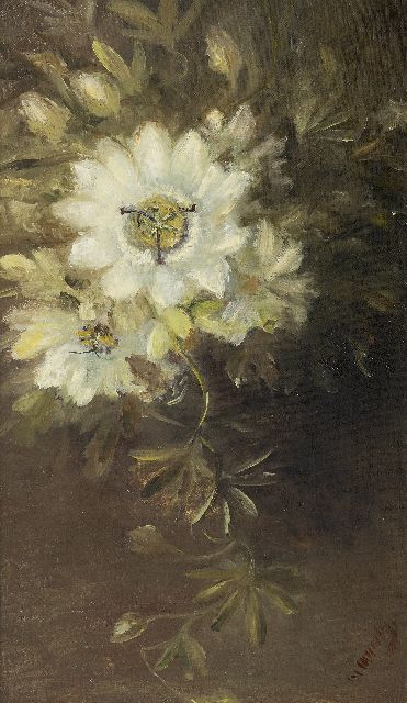 Wuytiers-Blaauw A.M.  | Clematis, oil on canvas 51.4 x 30.2 cm, signed l.r.