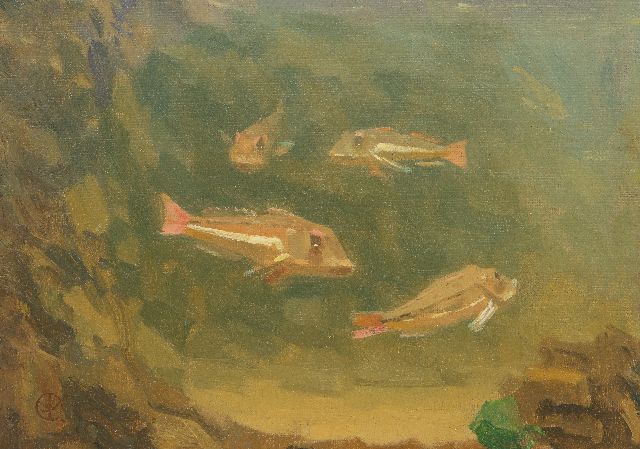 Gerrit Willem Dijsselhof | Red gurnards in an aquarium, oil on canvas laid down on panel, 18.5 x 24.5 cm, signed l.l. with monogram