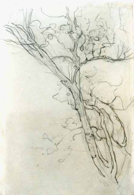 Mondriaan P.C.  | A branch, a study, pencil on paper 16.8 x 11.7 cm, painted circa 1905