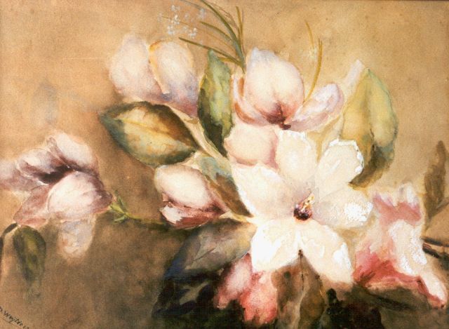 Marie Wuytiers | Magnolia, watercolour and gouache on paper, 39.5 x 54.0 cm, signed l.l.