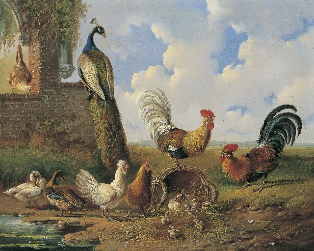 Albertus Verhoesen | Poultry and a peacock near a ruin, oil on panel, 30.4 x 38.3 cm, signed l.r. and dated 1861