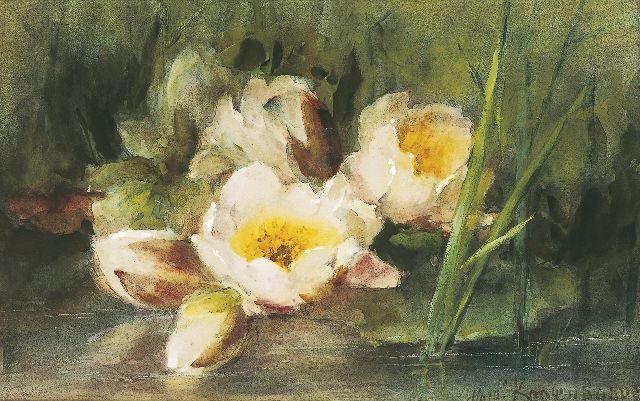 Margaretha Roosenboom | Water lilies, watercolour on paper, 33.0 x 51.7 cm, signed l.r.