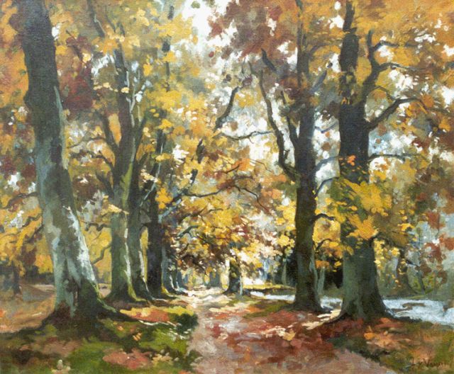 Vuuren J. van | Fall woods, oil on canvas 50.2 x 60.4 cm, signed l.r.