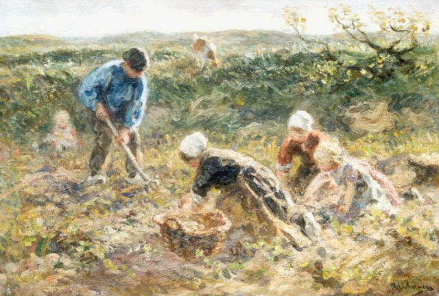 Zoetelief Tromp J.  | Digging up potatoes, oil on canvas 34.3 x 50.2 cm