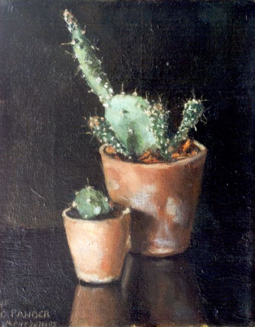 Elise Arntzenius | A cactus, oil on canvas, 21.2 x 17.0 cm, signed l.l.