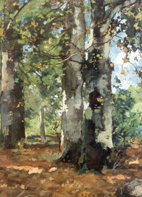 Théophile de Bock | Wood-scape, oil on canvas laid down on panel, 40.1 x 28.7 cm, signed l.r.