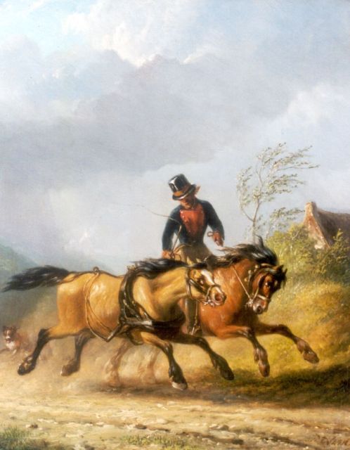 Pieter Frederik van Os | Untameable horse, oil on panel, 30.0 x 24.5 cm, signed l.r.