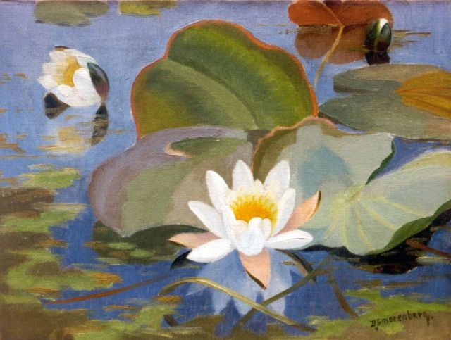 Smorenberg D.  | Water lilies, oil on canvas 30.5 x 40.5 cm, signed l.r.