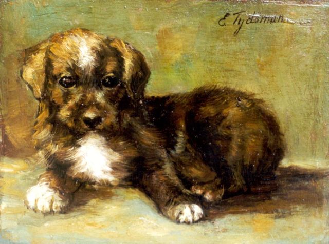 Tijdeman E.M.  | A puppy, oil on panel 14.5 x 19.2 cm, signed u.r.