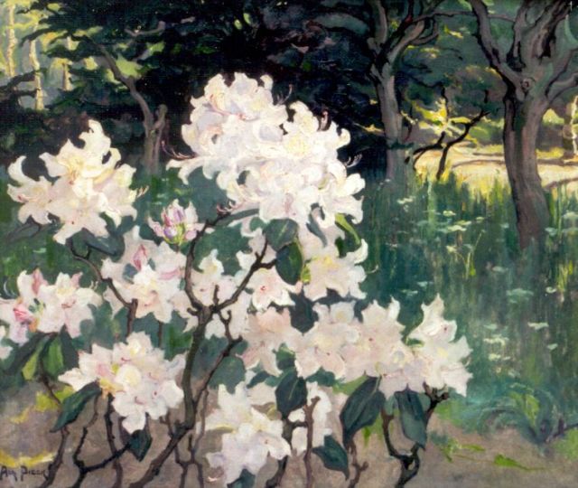 Pieck A.J.  | Rododendrons, oil on canvas 55.9 x 65.5 cm, signed l.l.