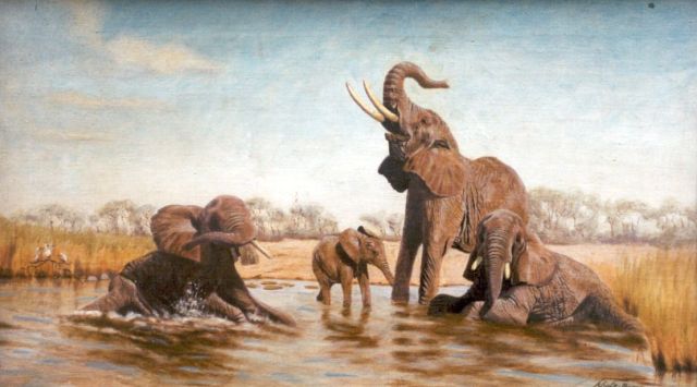 Schulz-Borek R.  | Elephants, oil on canvas 37.5 x 64.8 cm, signed l.r.