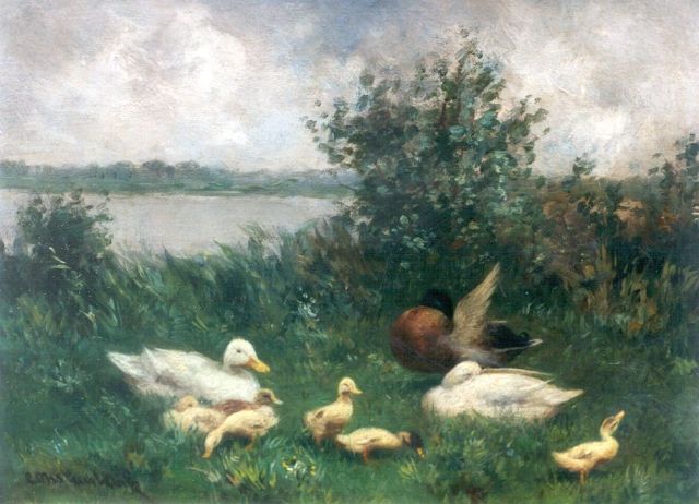 Constant Artz | Ducks with ducklings on the riverbank, oil on panel, 18.0 x 24.1 cm, signed signed l.l.