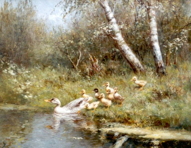 Constant Artz | Ducks with ducklings on the riverbank, oil on canvas, 24.1 x 30.2 cm, signed l.r.