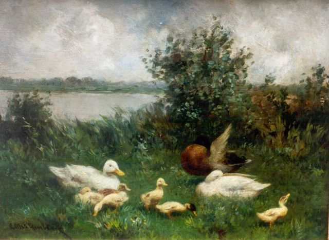 Artz C.D.L.  | Duck with ducklings on the riverbank, oil on panel 30.0 x 40.0 cm, signed signed l.l.