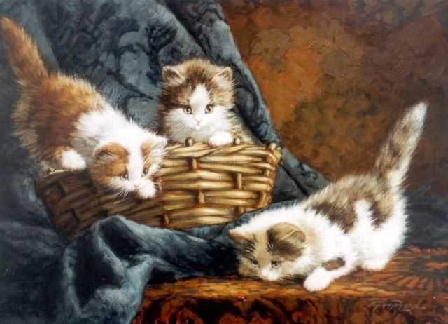 Raaphorst C.  | Playful kittens, oil on canvas 30.2 x 40.4 cm, signed l.r.