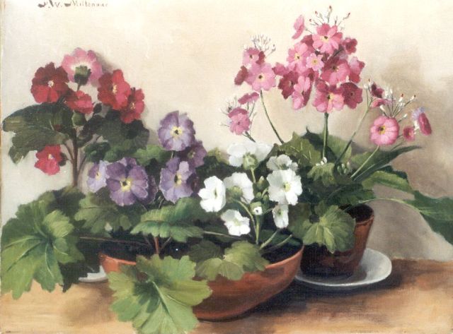 Millenaar P.W.  | Primroses, oil on canvas 30.1 x 39.9 cm, signed u.l.