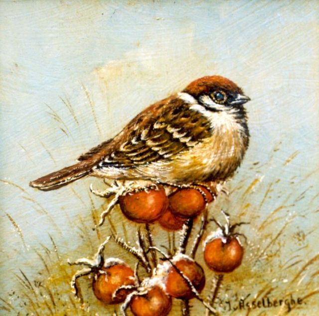 Asselberghe J. van | A Tree sparrow, oil on panel 13.0 x 13.0 cm, signed l.r.