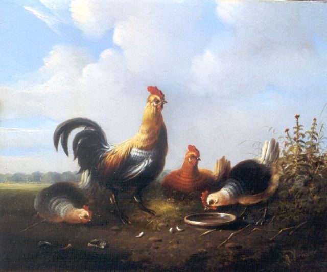 Albertus Verhoesen | Poultry in a meadow, oil on panel, 19.7 x 23.7 cm, signed l.r.