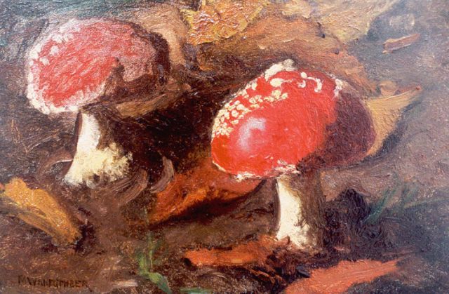 Wandscheer M.W.  | Fly agarics, oil on panel 17.4 x 24.9 cm, signed l.l.