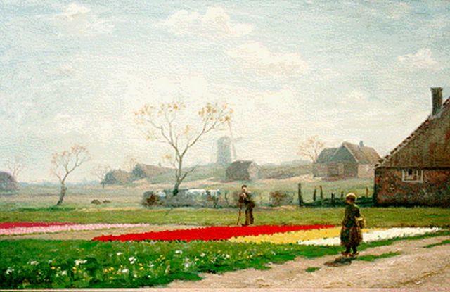 Gildemeester A.  | A bulb field, oil on canvas 46.0 x 72.0 cm, signed l.l.