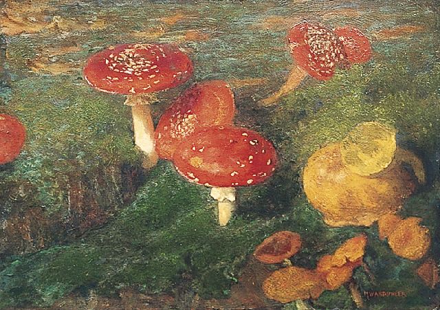 Marie Wandscheer | Fly agarics, oil on panel, 30.7 x 41.0 cm, signed l.r.  Sold tot Historical Museum Ede