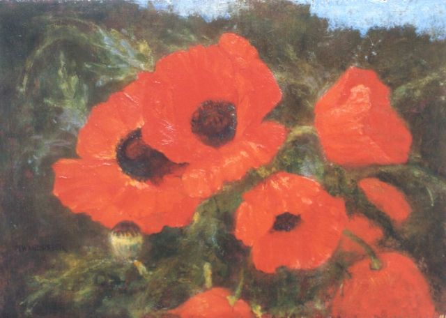 Marie Wandscheer | Poppies, oil on panel, 25.8 x 36.1 cm, signed l.l.