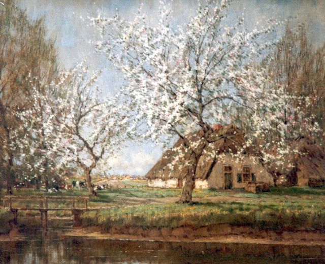 Gorter A.M.  | Blossoming trees, oil on canvas 56.3 x 76.3 cm, signed l.r.