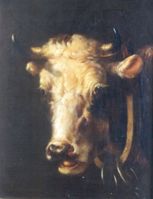 Albertus Verhoesen | A bull's head, oil on panel, 17.1 x 13.7 cm, signed l.l.