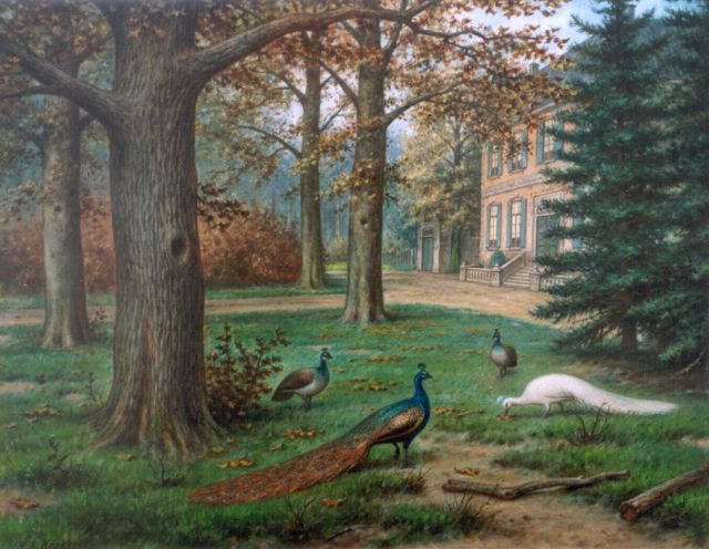 Marinus Adrianus Koekkoek II | Peacocks in a landscape garden, oil on canvas, 40.2 x 50.5 cm, signed l.l.