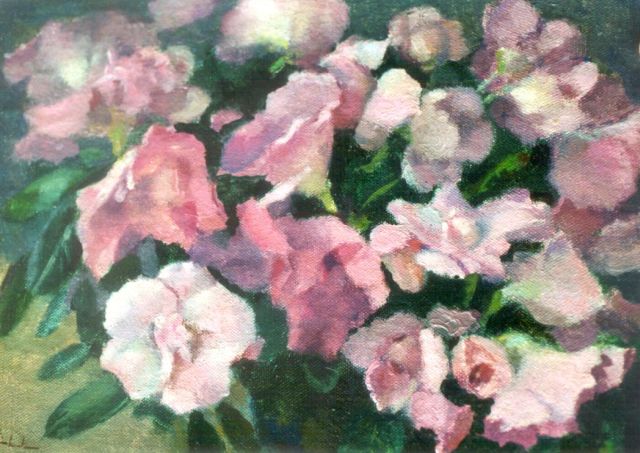 Stierhout J.A.U.  | Azalea, oil on canvas laid down on panel 18.0 x 24.0 cm, signed l.l.