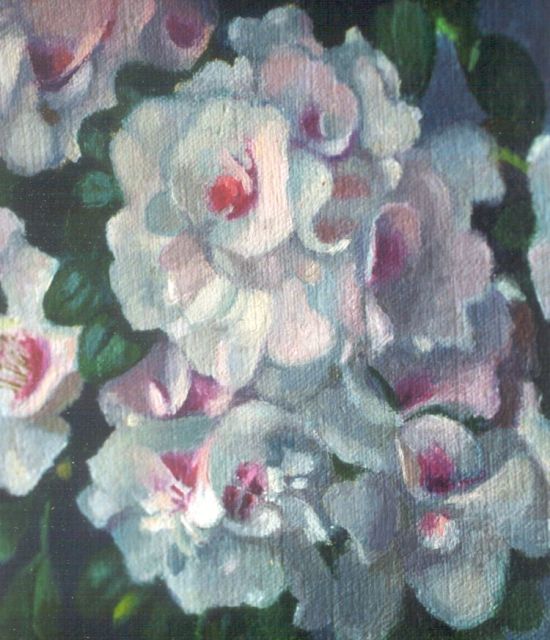 Stierhout J.A.U.  | Azalea, oil on canvas laid down on panel 15.3 x 13.2 cm, signed l.r.