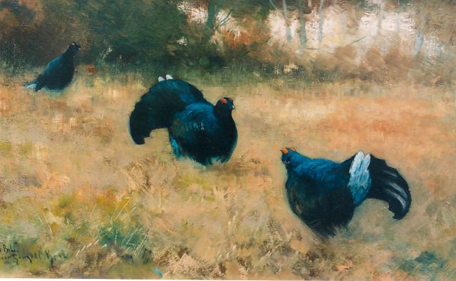 Gerard Krol | Black grouses, 36.7 x 57.8 cm, signed l.l.