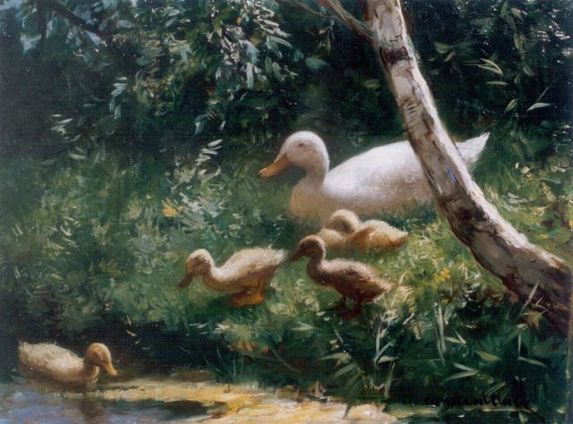 Constant Artz | Hen with ducklings watering, oil on panel, 18.0 x 24.5 cm, signed l.r.