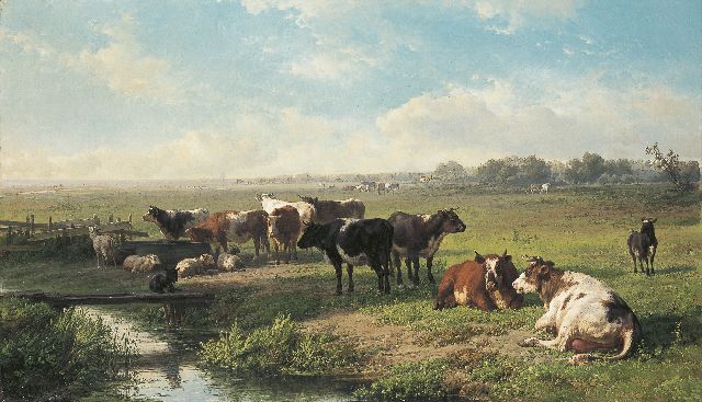 Jan Bedijs Tom | Cattle in a polder landscape, oil on canvas, 71.0 x 120.0 cm, signed l.l.