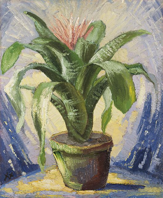 Kruysen J.  | Bromelia in an earthenware pot, oil on painter's board 45.8 x 37.8 cm, signed l.l. with monogram