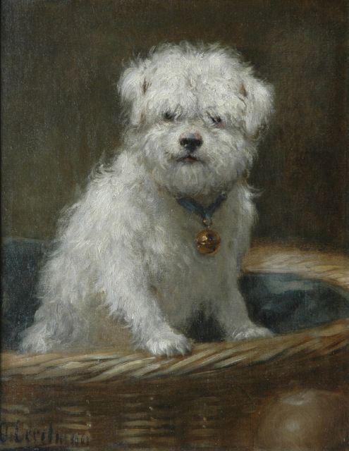 Eerelman O.  | A bichon in a basket, oil on canvas 34.9 x 27.4 cm, signed l.l.