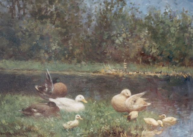Constant Artz | Ducks and ducklings on the riverbank, 18.0 x 24.0 cm, signed l.l.