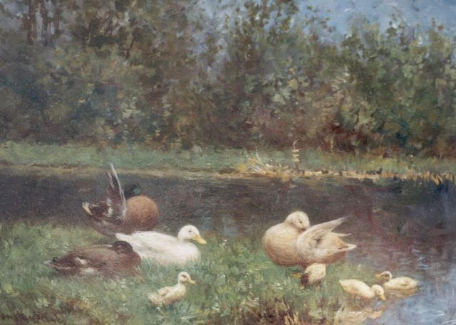 Artz C.D.L.  | Ducks and ducklings on the riverbank, 18.0 x 24.0 cm, signed l.l.