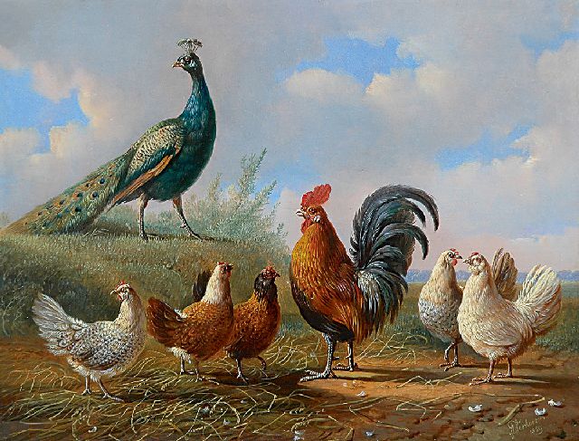 Verhoesen A.  | A peacock, a cock and his fowls in a landscape, oil on panel 25.2 x 33.1 cm, signed l.r. and painted 1859