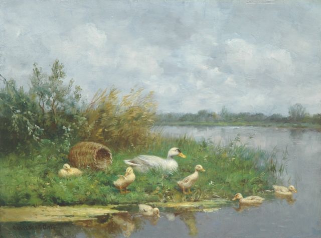 Artz C.D.L.  | Ducks and ducklings by a pond, oil on panel 30.1 x 40.1 cm, signed l.l.