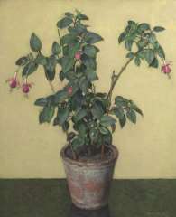 Wouters W.H.M. - Fuchsia in a flower pot, oil on canvas 61.5 x 50.7 cm, signed l.r.