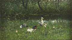 Maris W. - Ducks and ducklings by the waterside, oil on canvas 23.5 x 41.3 cm, signed l.l.