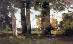 Bock T.E.A. de - Beech wood by Renkum, oil on canvas 50 x 75.7 cm, signed l.r.